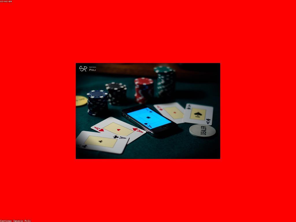 ការយល់ដឹងអំពីពាក្យពេចន៍កាស៊ីណូ