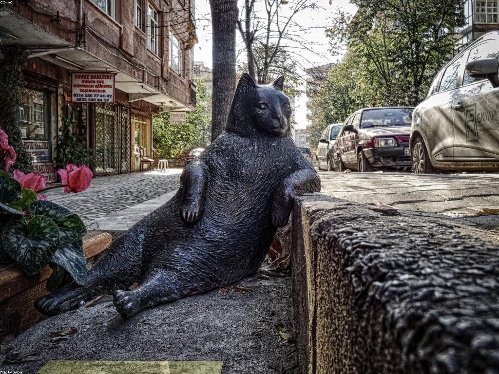 ការយល់ដឹងអំពីពាក្យពេចន៍កាស៊ីណូ